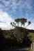 20121011_1015330m.jpg - 2012:10:11 10:15:33