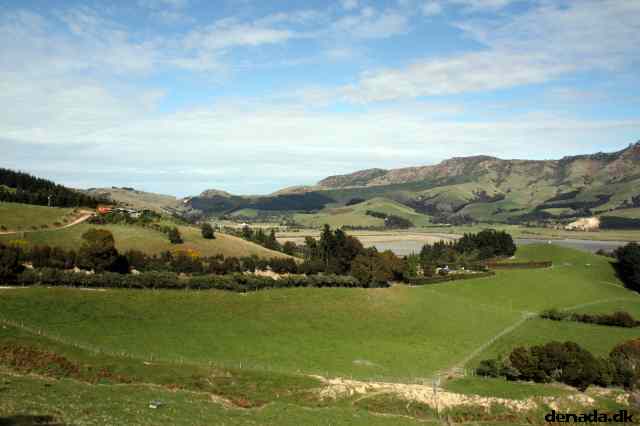 * Image 2