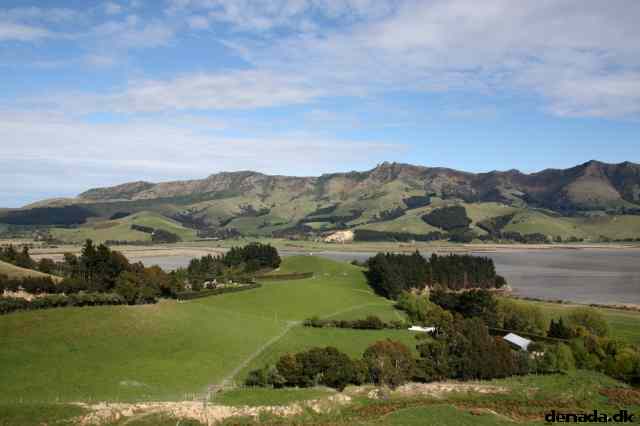 * Image 3