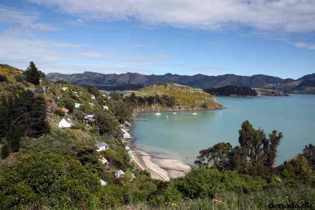 * Image 6