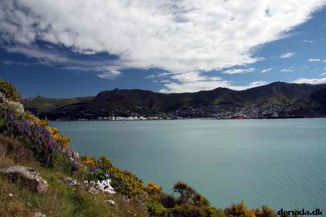 * Image 10