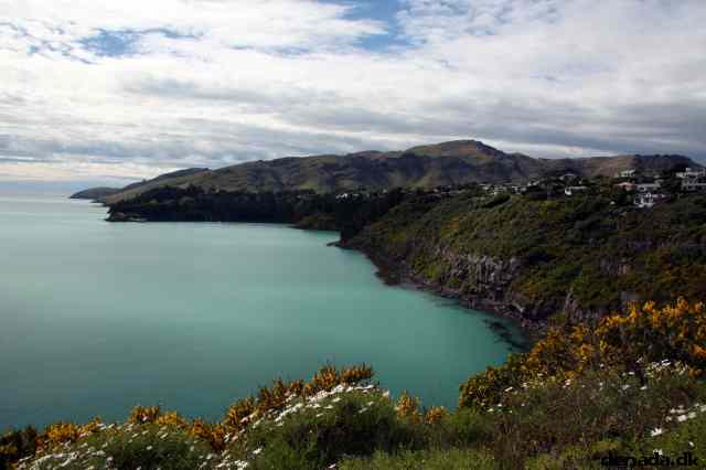 * Image 13
