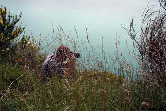 * Image 14