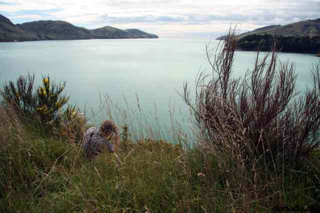 * Image 18