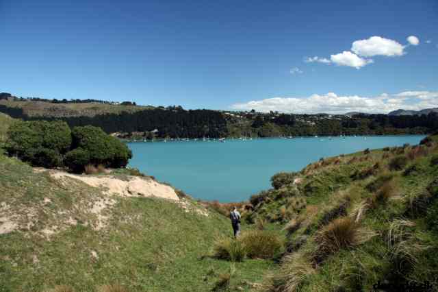 * Image 35