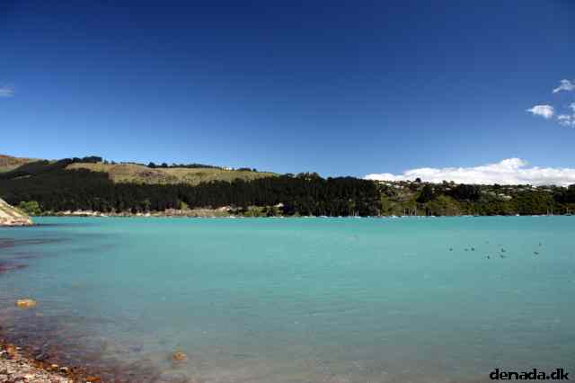 * Image 39