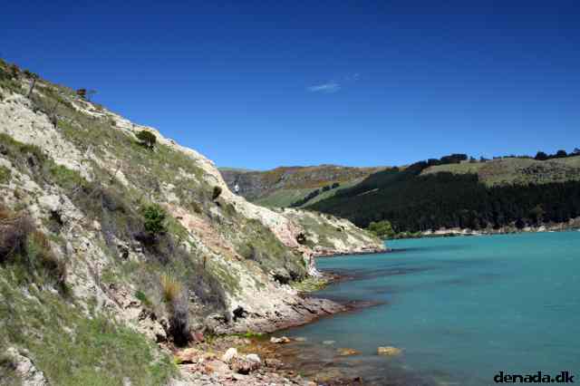 * Image 40