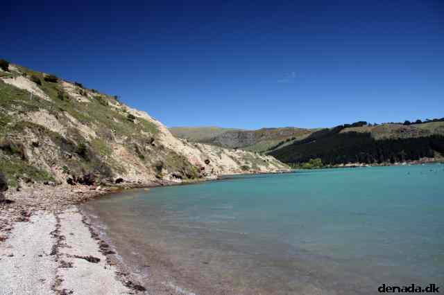 * Image 41