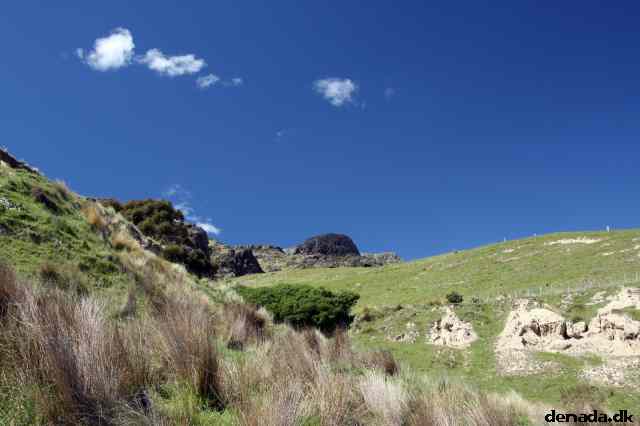 * Image 42