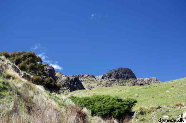 * Image 43