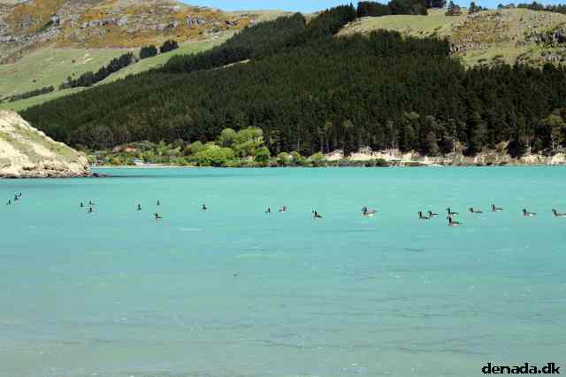 * Image 45