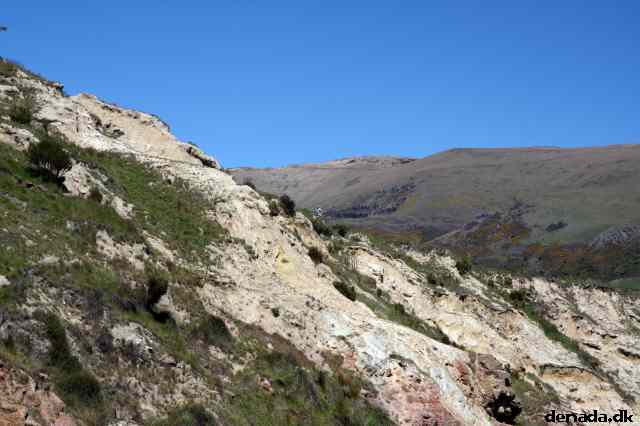 * Image 47