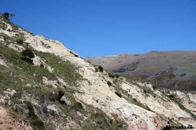 * Image 49