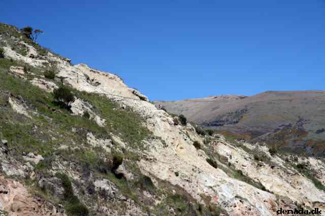* Image 51