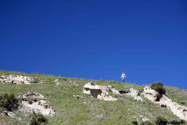 * Image 54