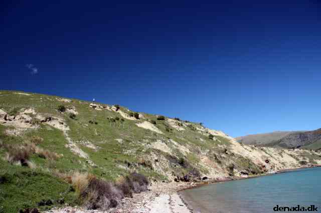 * Image 56
