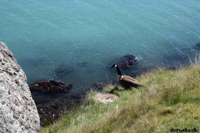 * Image 60