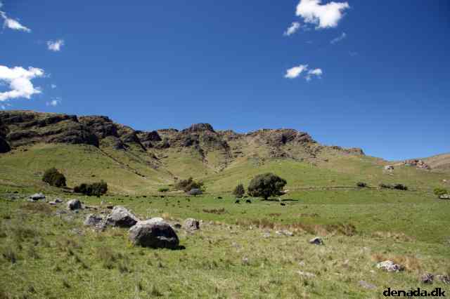 * Image 61