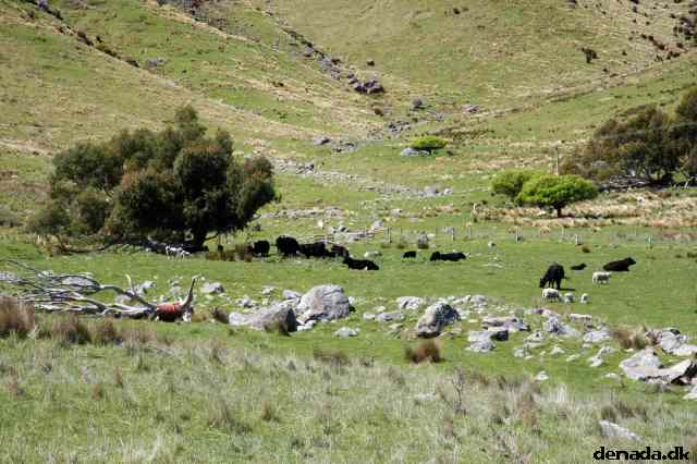 * Image 63