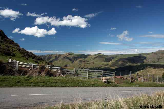 * Image 77