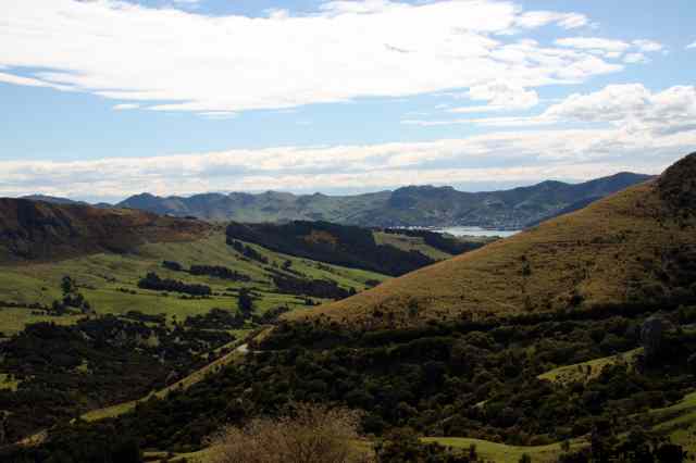 * Image 90