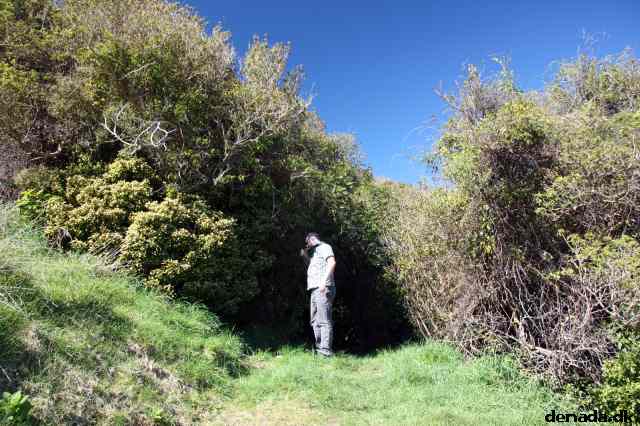 * Image 93