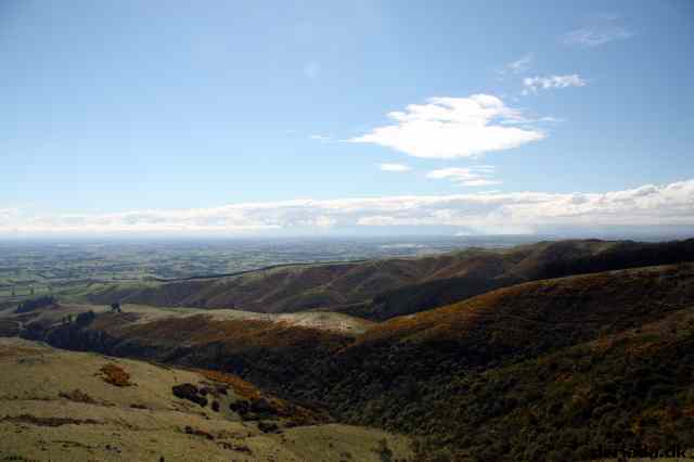 * Image 102