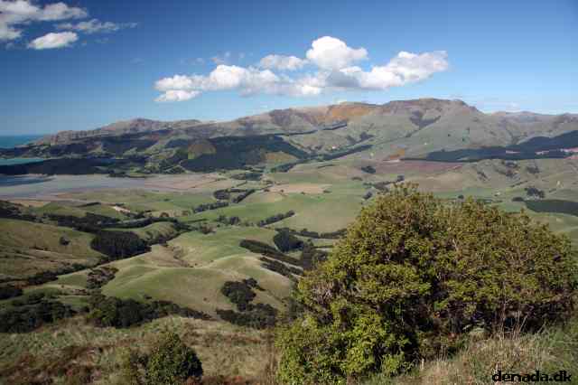 * Image 115