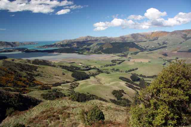 * Image 116