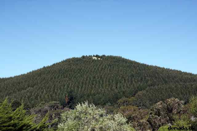 * Image 133
