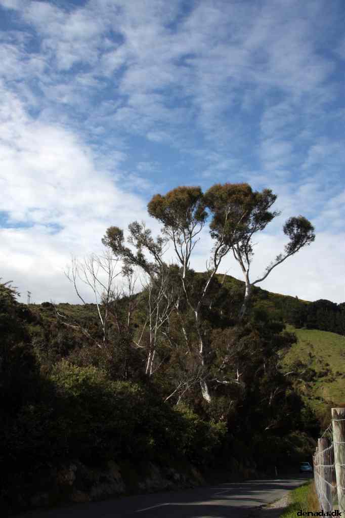 * Image 4