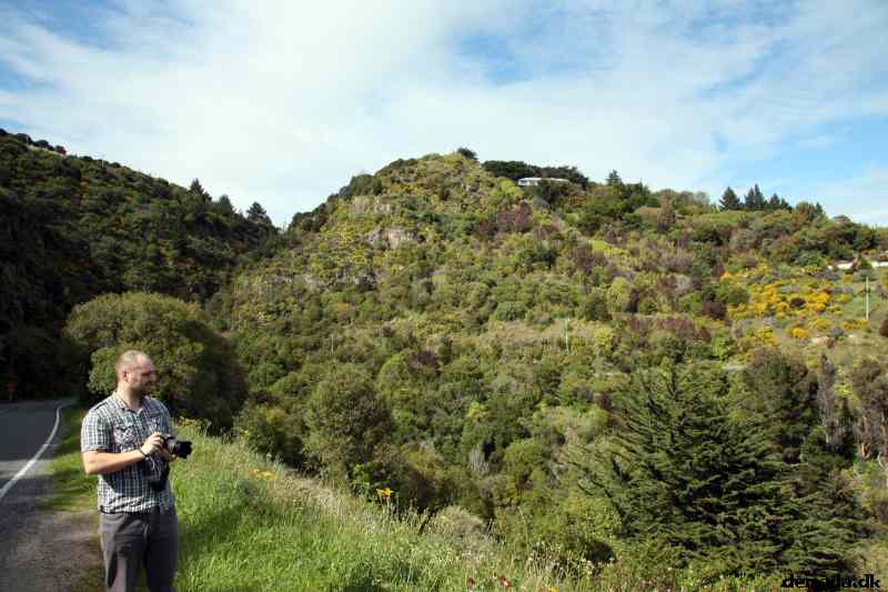 * Image 7
