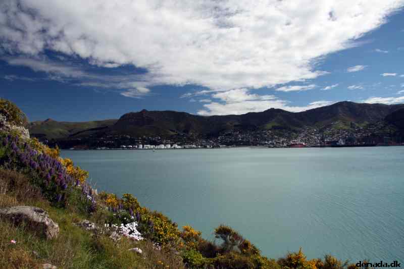 * Image 10