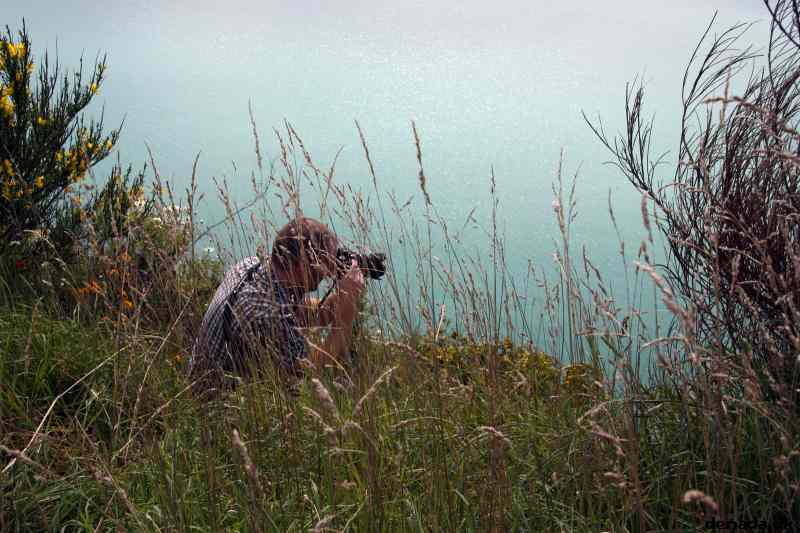 * Image 14