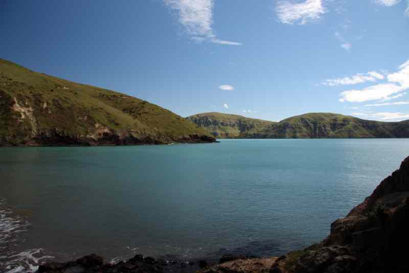 * Image 23
