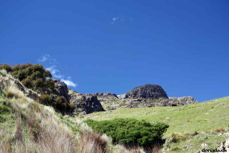 * Image 43