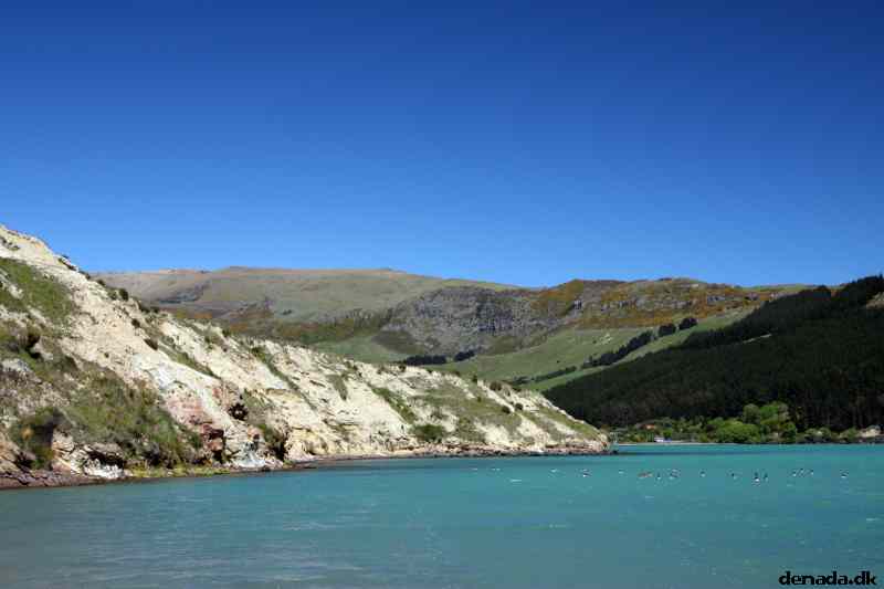 * Image 44