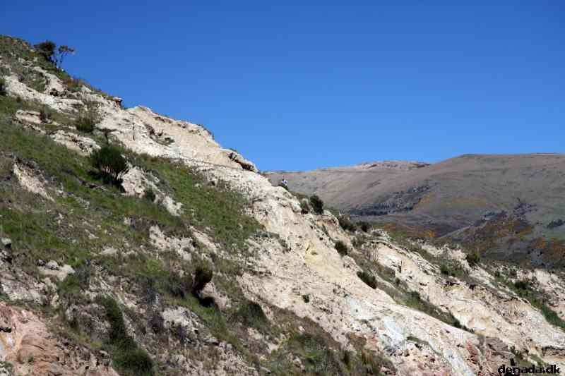 * Image 50