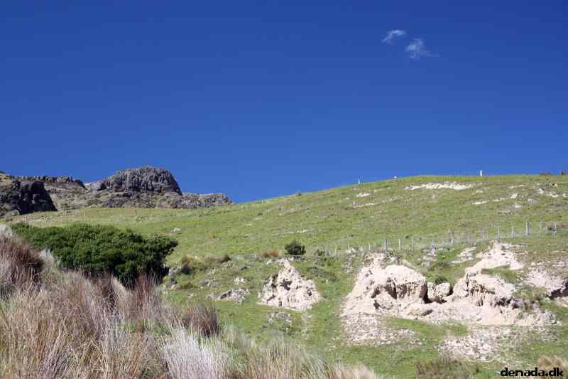 * Image 52