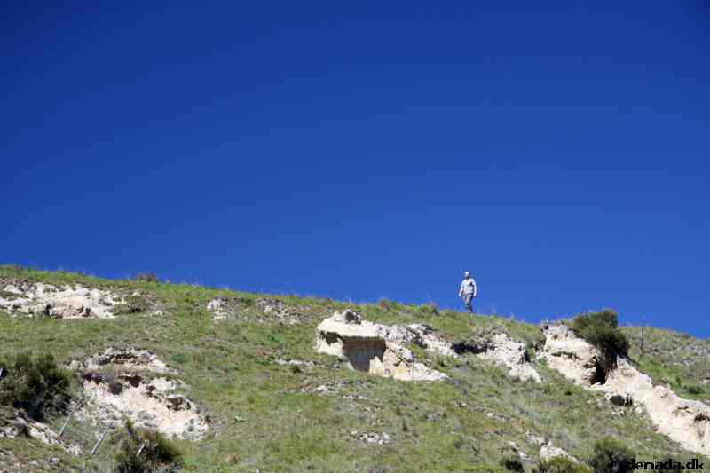 * Image 54