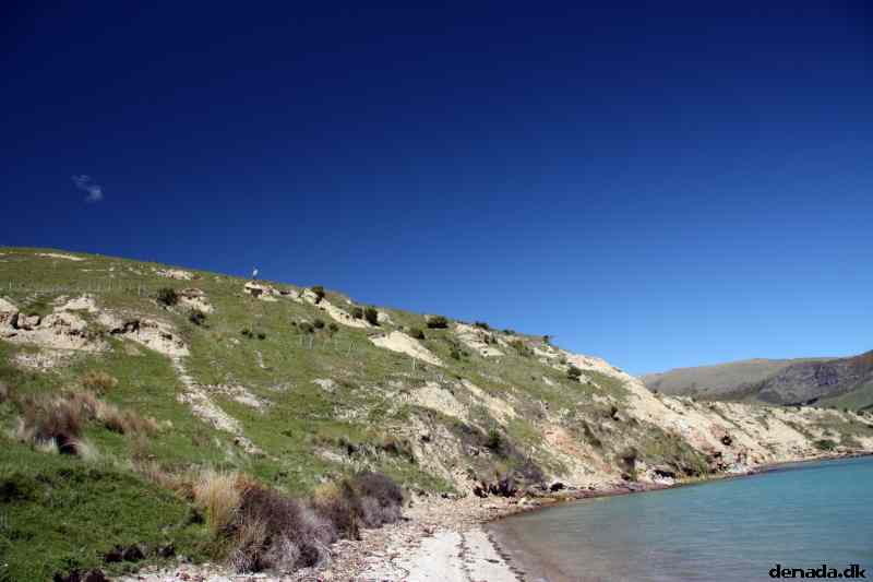 * Image 56