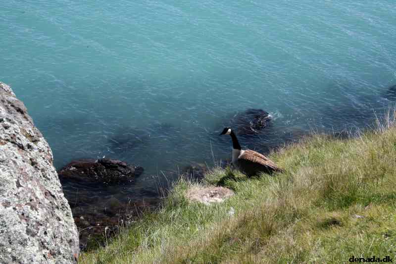 * Image 60