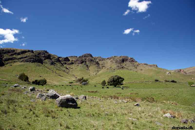 * Image 61