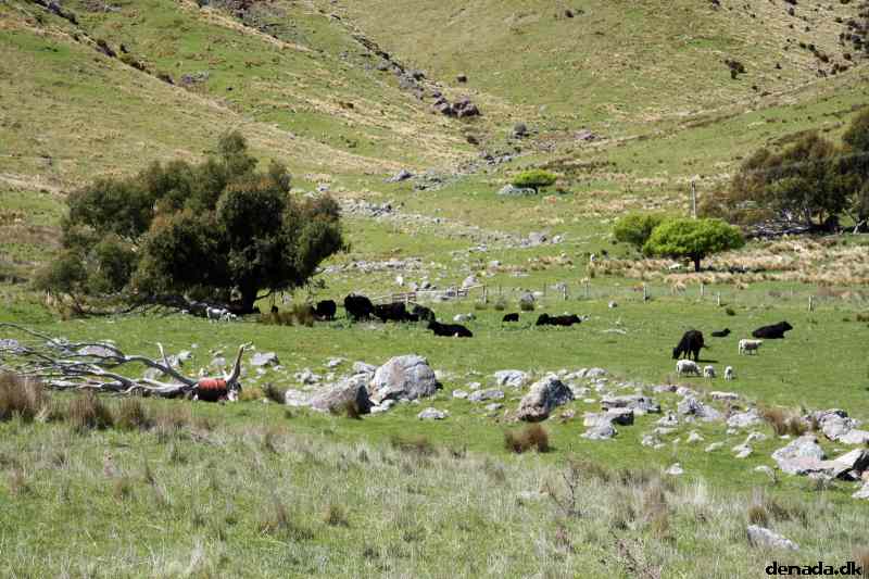 * Image 63
