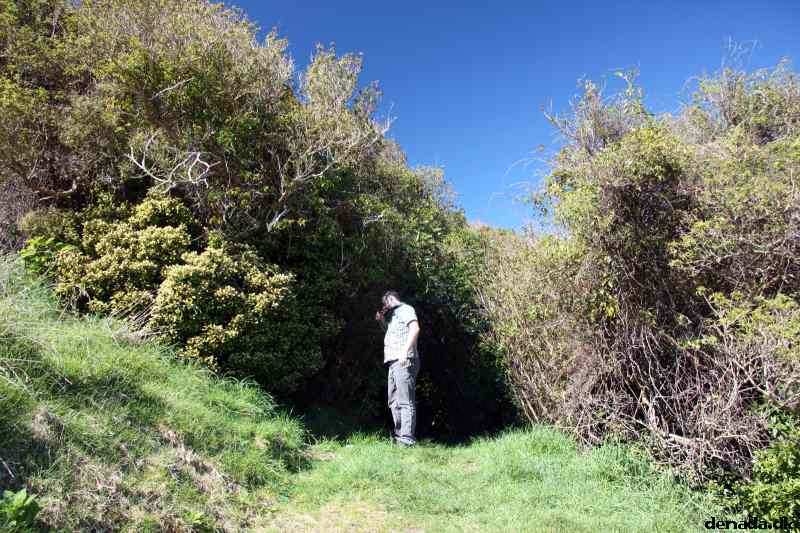 * Image 93