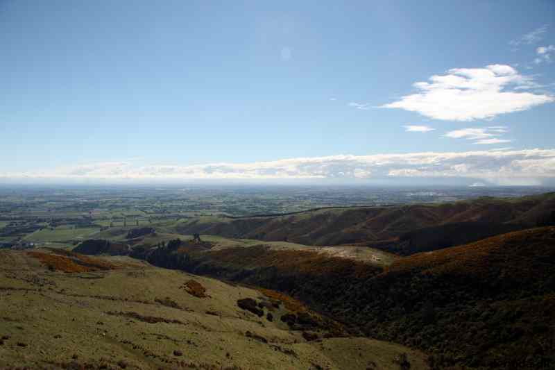 * Image 103