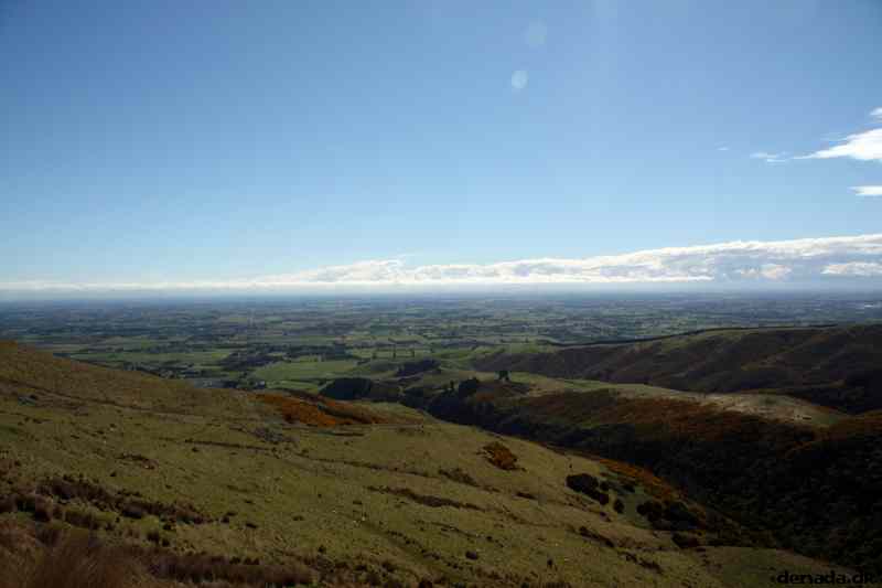 * Image 104