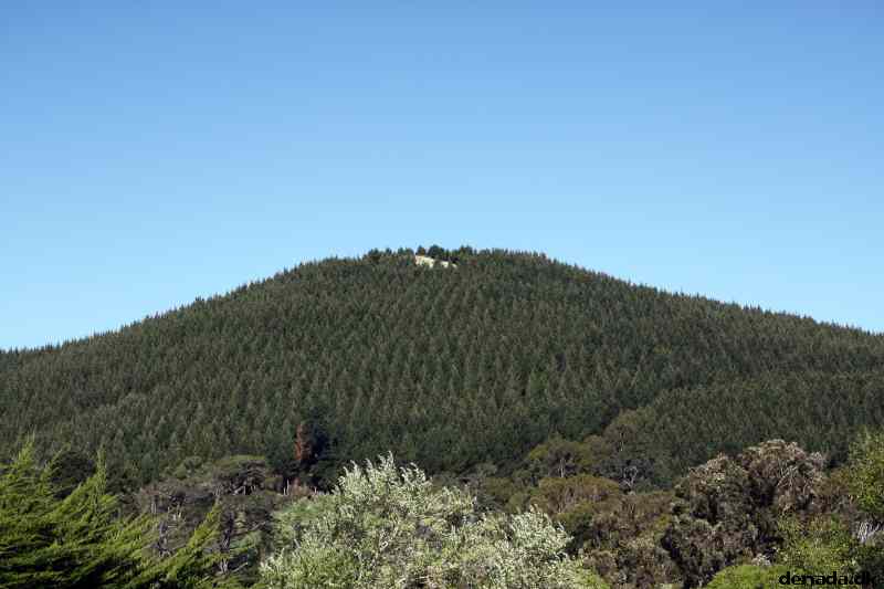 * Image 133