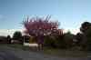 20121012_1818060m.jpg - 2012:10:12 18:18:06