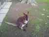 20121012_1842220m.jpg - 2012:10:12 18:42:22